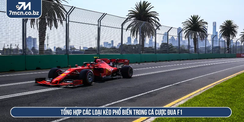 Tổng hợp các loại kèo phổ biến trong cá cược đua F1